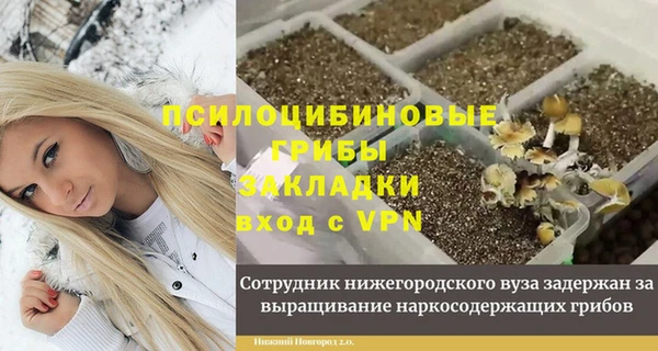 шишки Алексеевка