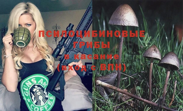 ПСИЛОЦИБИНОВЫЕ ГРИБЫ Алексин