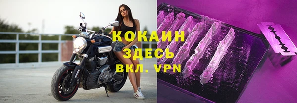 spice Алзамай